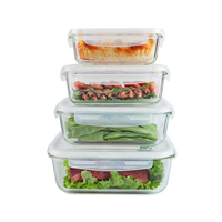 glass food container  4pcs set